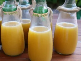 Jak zrobić sok z agawy